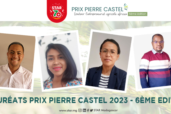 Lauréats Prix Pierre Castel 2023